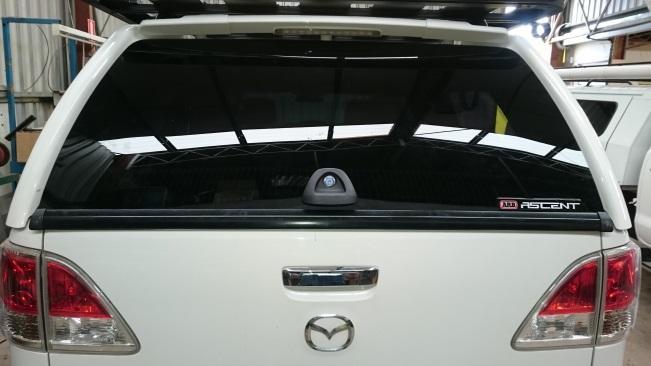 Canopy Rear Window Replacement